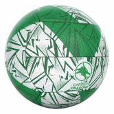 Gilbert Dragons Supporter Netball