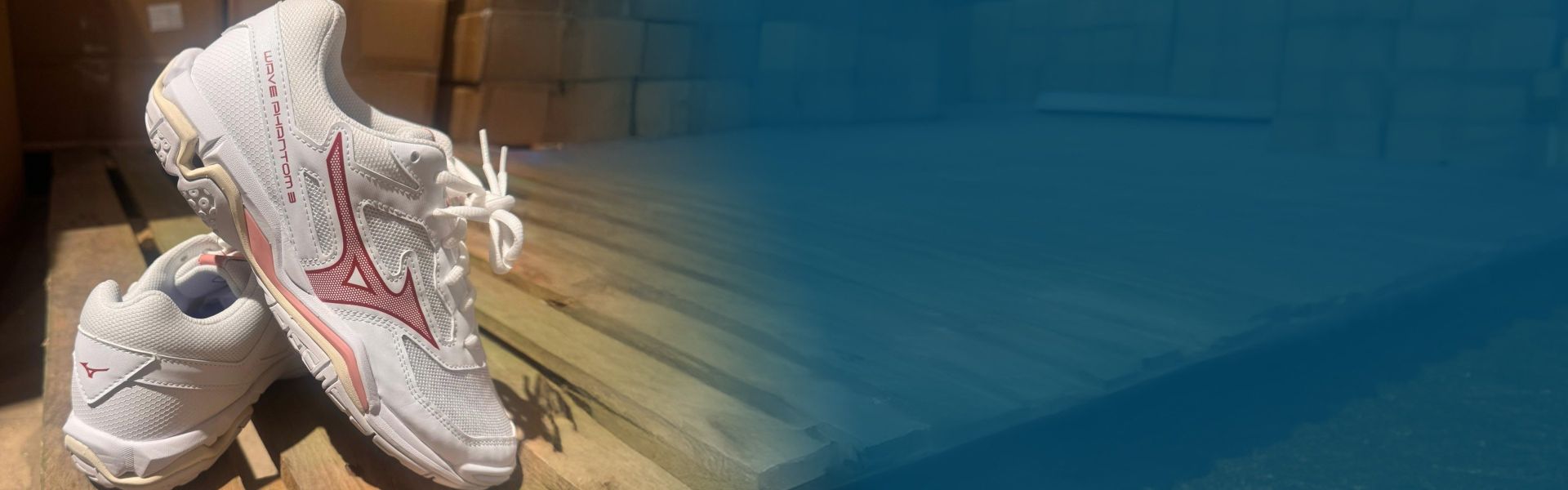 Mizuno Netball Trainers