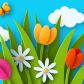 Happy Mother's Day