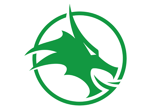 Dragons