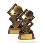 Cube Netball Trophy